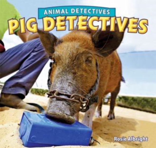 Pig Detectives, PDF eBook