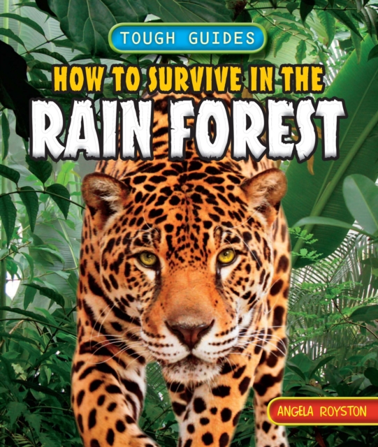 How to Survive in the Rainforest, PDF eBook