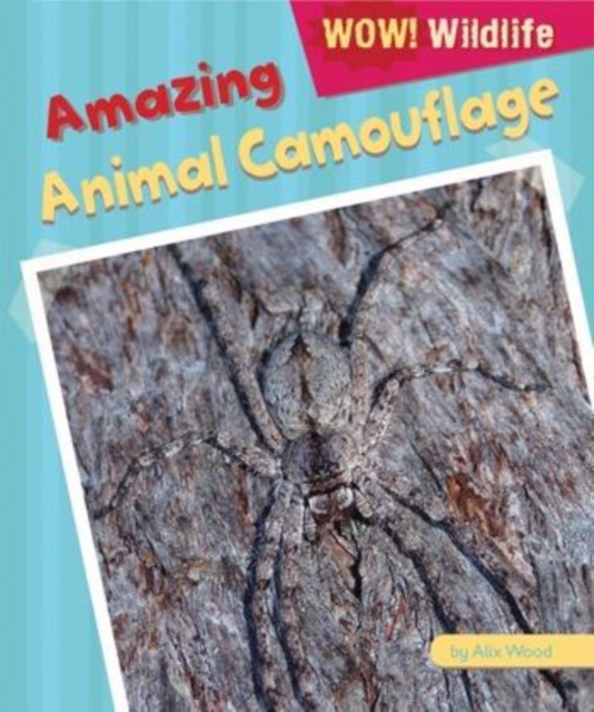Amazing Animal Camouflage, PDF eBook