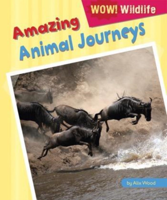 Amazing Animal Journeys, PDF eBook