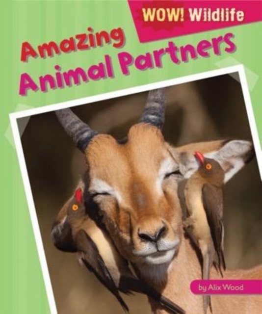 Amazing Animal Partners, PDF eBook