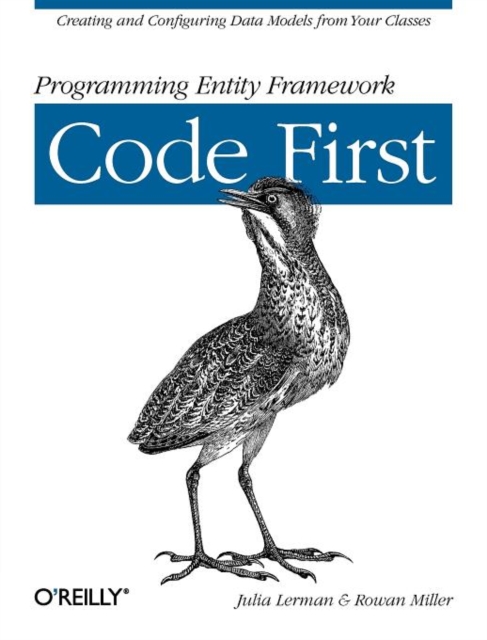 Programming Entity Framework - Code First, Paperback / softback Book