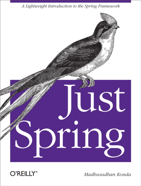 Just Spring : A Lightweight Introduction to the Spring Framework, PDF eBook