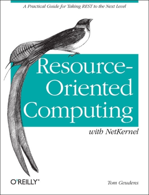 Resource-Oriented Computing with NetKernel : Taking Rest Ideas to the Next Level, Paperback / softback Book