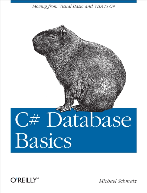 C# Database Basics : Moving from Visual Basic and VBA to C#, PDF eBook