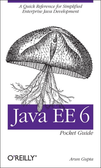 Java EE 6 Pocket Guide, Paperback / softback Book