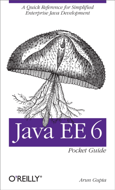 Java EE 6 Pocket Guide : A Quick Reference for Simplified Enterprise Java Development, PDF eBook