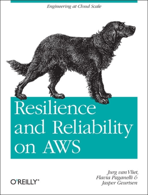 Resilience and Reliability on AWS, Paperback / softback Book
