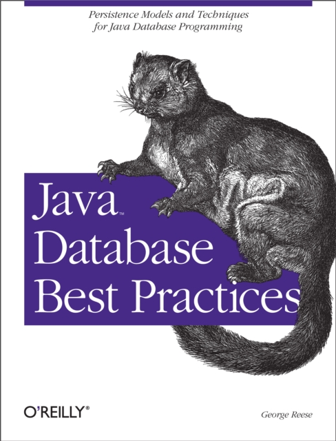 Java Database Best Practices : Persistence Models and Techniques for Java Database Programming, PDF eBook