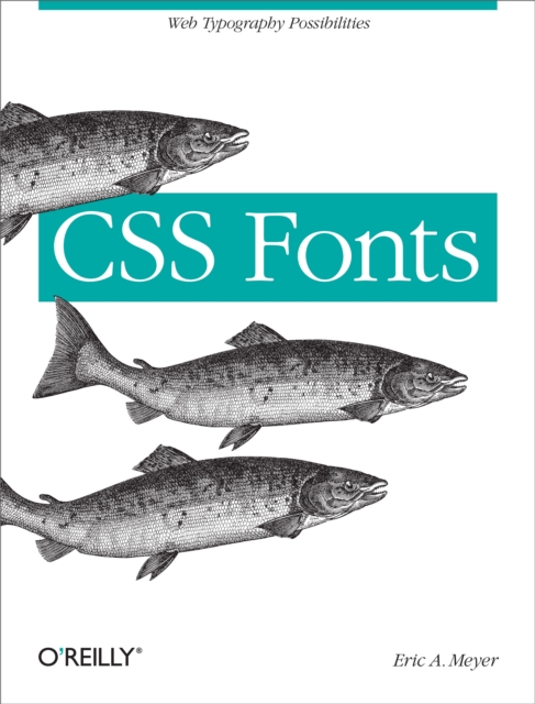 CSS Fonts : Web Typography Possibilities, PDF eBook