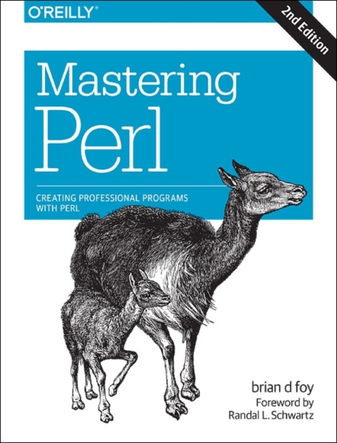 Mastering Perl, Paperback / softback Book