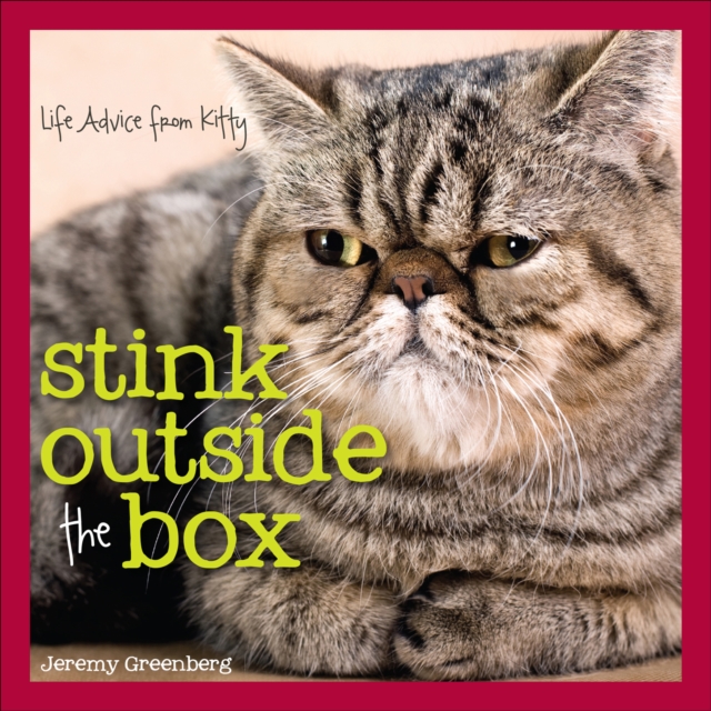 Stink Outside the Box : Life Advice from Kitty, EPUB eBook