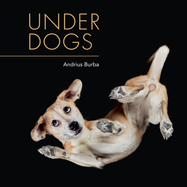 Under Dogs, EPUB eBook