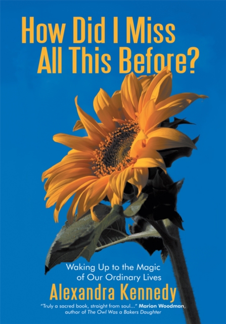 How Did I Miss All This Before? : Waking up to the Magic of Our Ordinary Lives, EPUB eBook