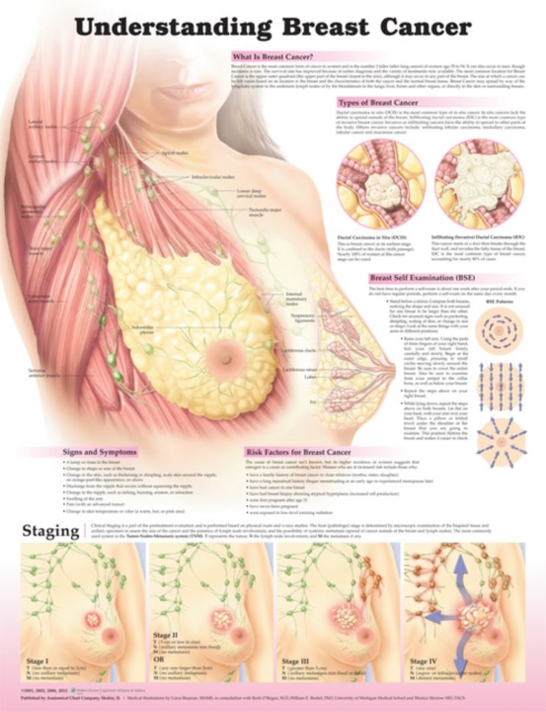 Understanding Breast Cancer 3E Laminated, Wallchart Book