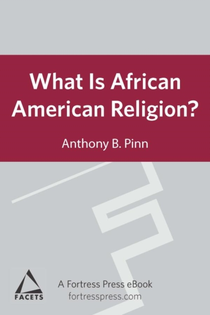 What is African American Religion? : Facets Series, EPUB eBook