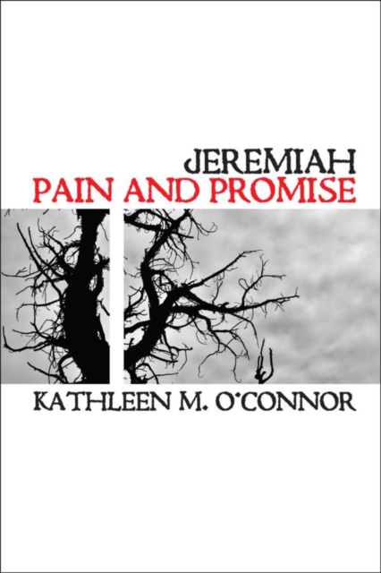Jeremiah : Pain And Promise, EPUB eBook