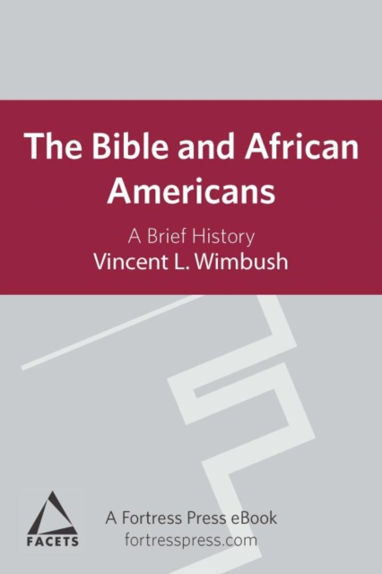 Bible and African Americans : A Brief History, EPUB eBook