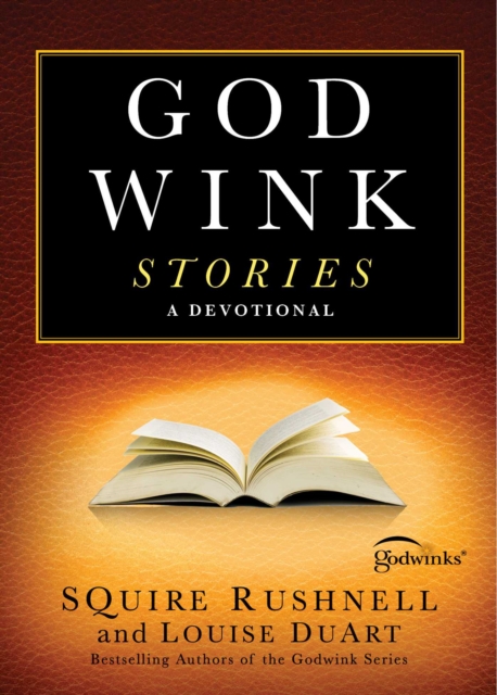 Godwink Stories : A Devotional, EPUB eBook