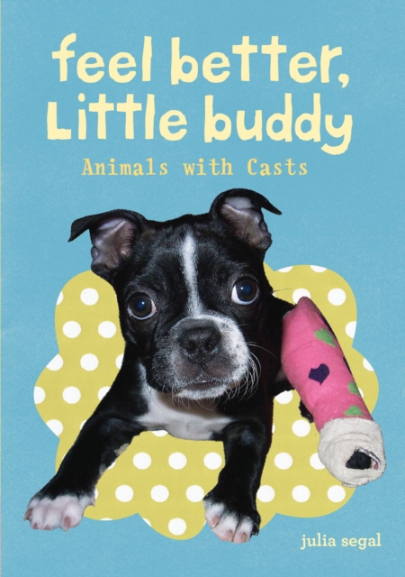 Feel Better Little Buddy : Animals with Casts, EPUB eBook