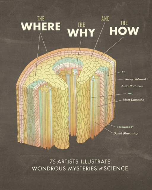 The Where Why, and the How : 75 Artists Illustrate Wondrous Mysteries of Science, Hardback Book
