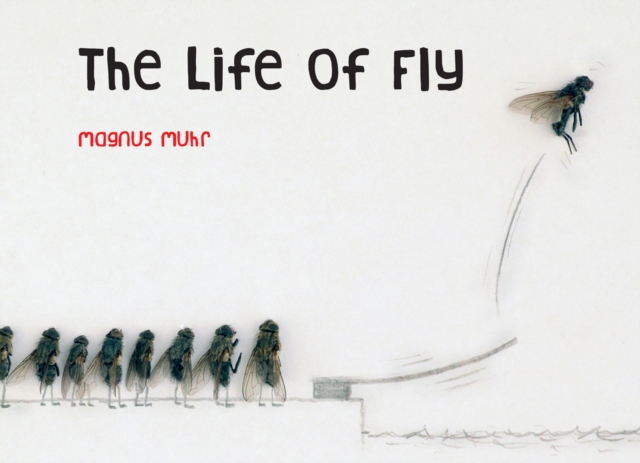 Life of Fly, EPUB eBook