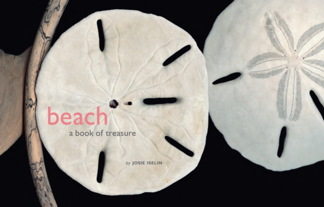 Beach : A Book of Treasures, EPUB eBook