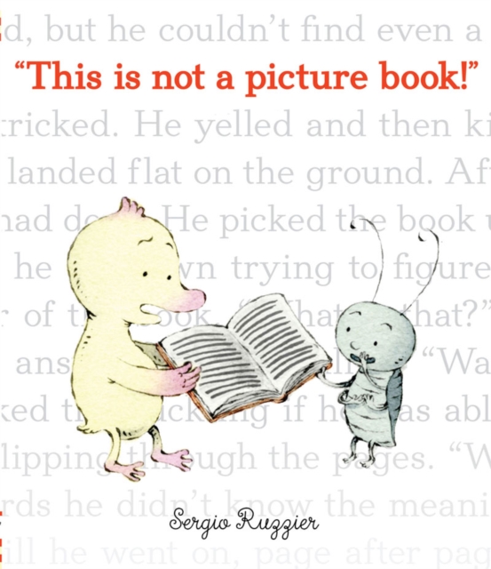 This Is Not a Picture Book, Hardback Book