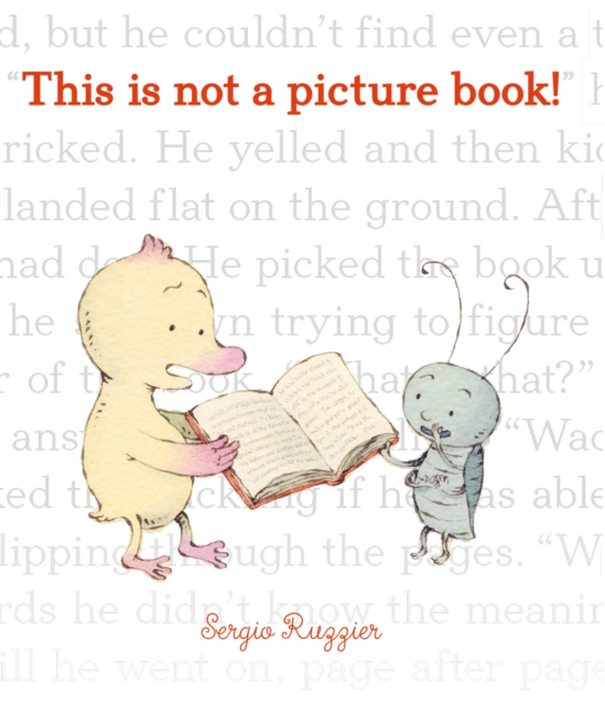 This Is Not a Picture Book!, EPUB eBook