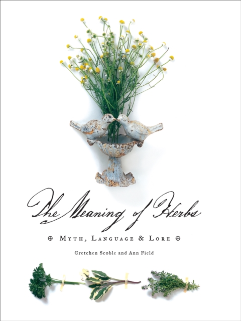 The Meaning of Herbs : Myth, Language & Lore, EPUB eBook