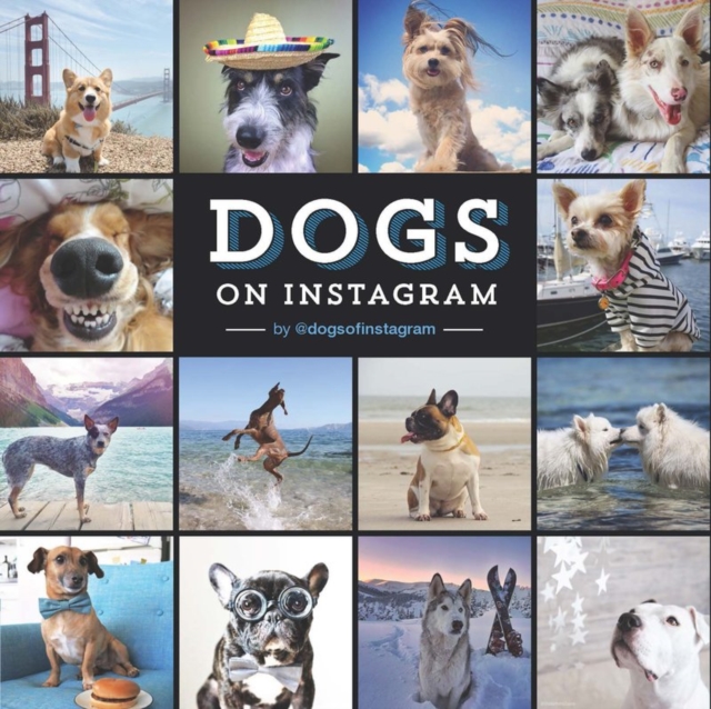 Dogs On Instagram, Hardback Book