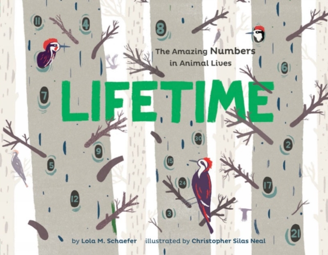 Lifetime : The Amazing Numbers in Animal Lives, Paperback / softback Book