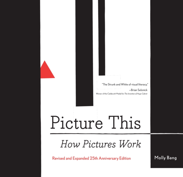 Picture This : How Pictures Work, EPUB eBook