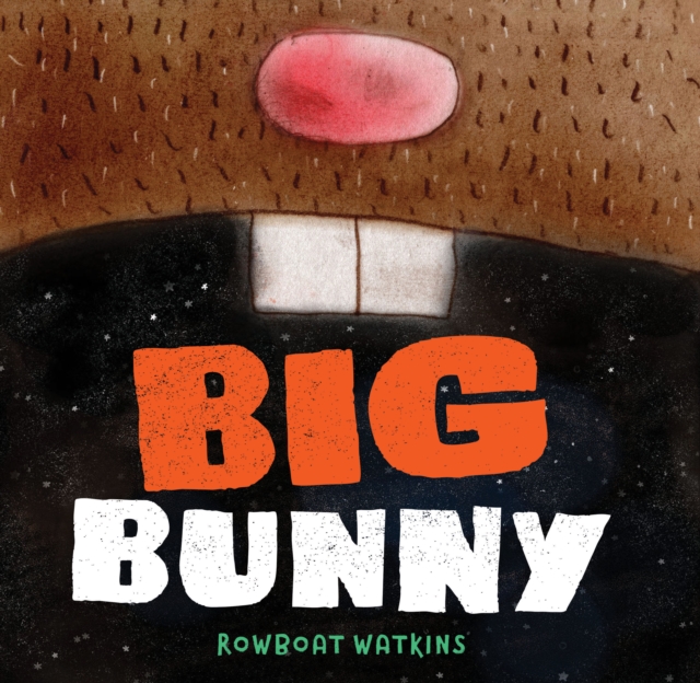 Big Bunny, Hardback Book