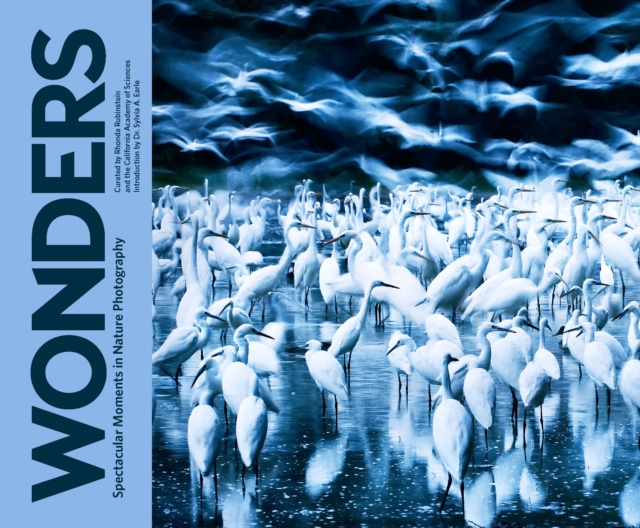 Wonders : Spectacular Moments in Nature Photography, EPUB eBook