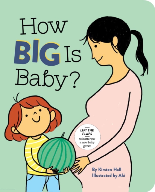 How Big Is Baby?, Hardback Book