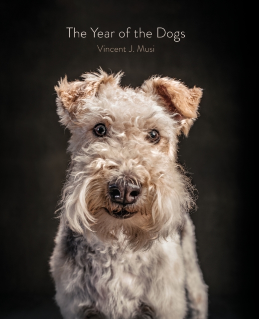 The Year of the Dogs, Hardback Book