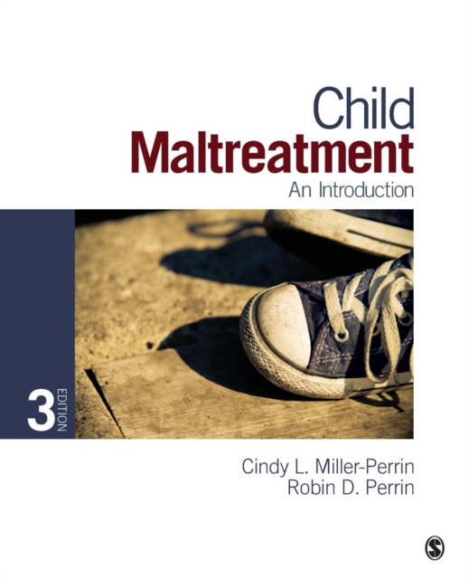 Child Maltreatment : An Introduction, Paperback / softback Book