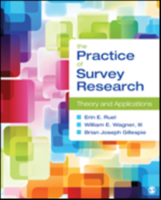 The Practice of Survey Research : Theory and Applications, Paperback / softback Book
