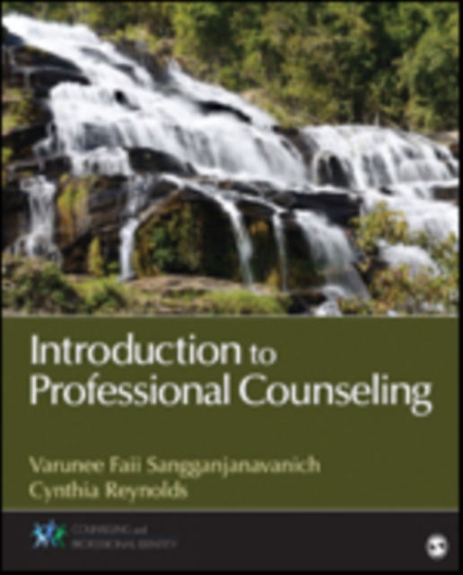 Introduction to Professional Counseling, Paperback / softback Book