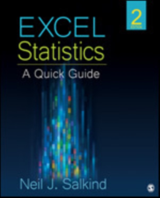 Excel Statistics : A Quick Guide, Paperback Book
