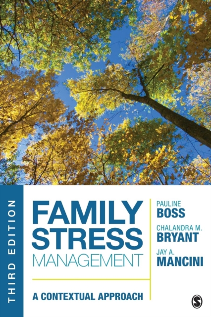 Family Stress Management : A Contextual Approach, Paperback / softback Book
