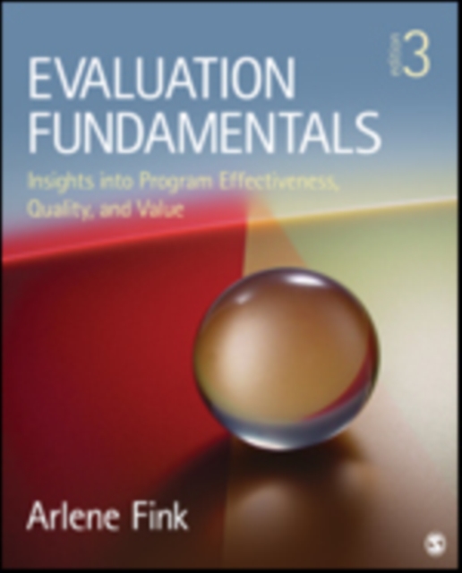 Evaluation Fundamentals : Insights into Program Effectiveness, Quality, and Value, Paperback / softback Book