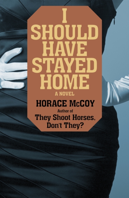I Should Have Stayed Home : A Novel, EPUB eBook