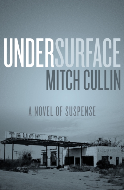 UnderSurface : A Novel of Suspense, EPUB eBook