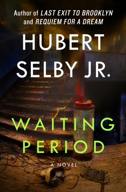 Waiting Period : A Novel, EPUB eBook