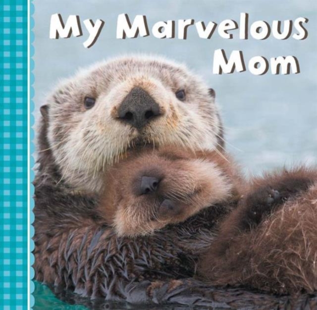 My Mommy's the Best!, Board book Book
