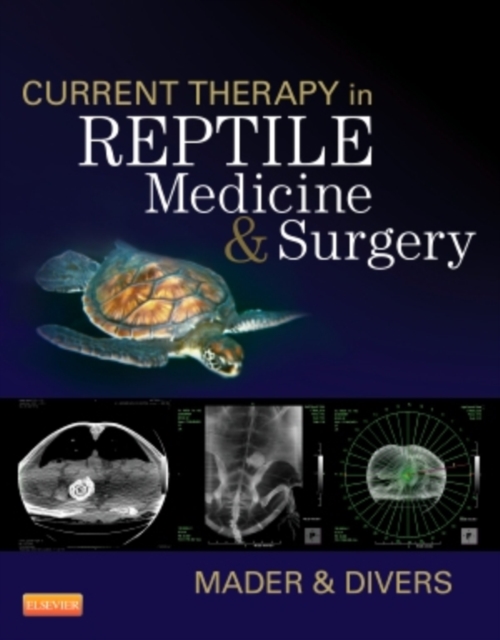 Current Therapy in Reptile Medicine and Surgery, Hardback Book