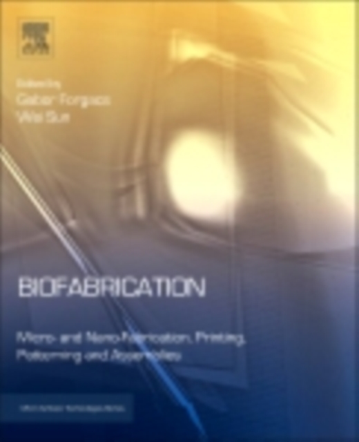 Biofabrication : Micro- and Nano-fabrication, Printing, Patterning and Assemblies, EPUB eBook