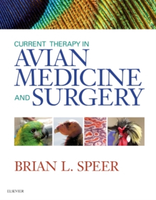 Current Therapy in Avian Medicine and Surgery, Hardback Book